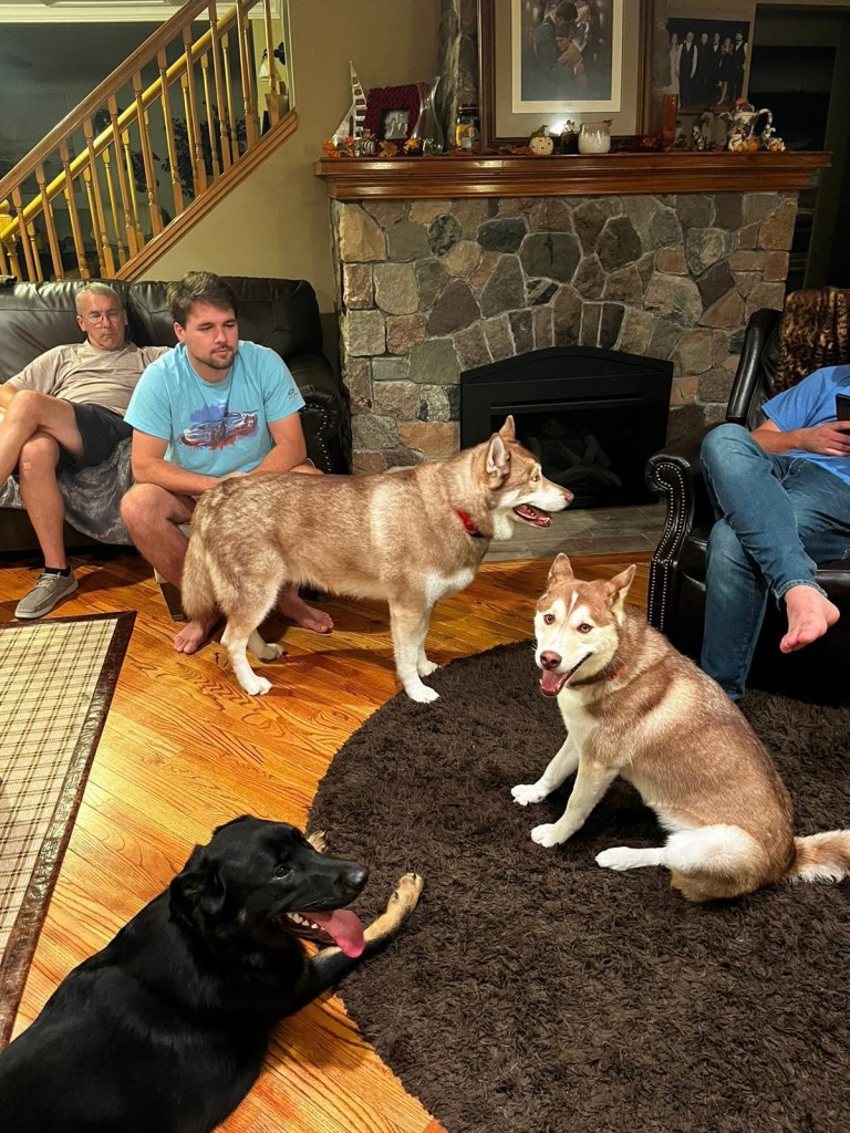 b9530620-ccdc-4c09-831d-39b2b704fe6d-1